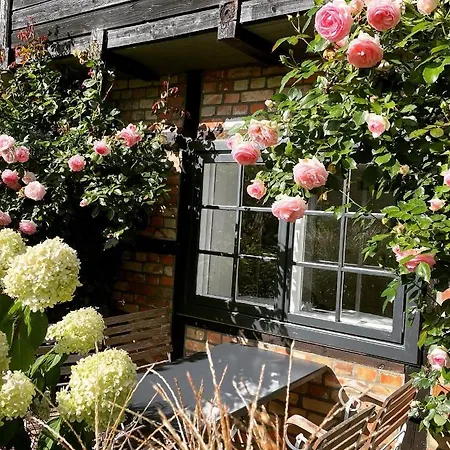 Appartement Drei Hof Himmelgruen Saal