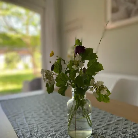 Drei Hof Himmelgruen Saal