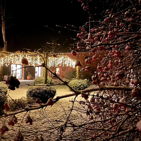 Drei Hof Himmelgruen Appartement *