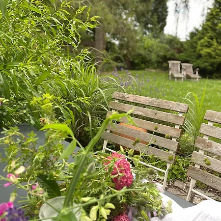 Drei Hof Himmelgruen Appartement