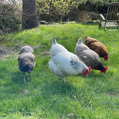 Drei Hof Himmelgruen *