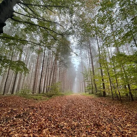Drei Hof Himmelgruen * Saal