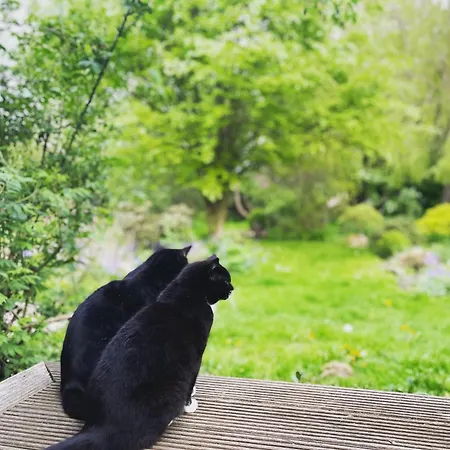 Apartament Drei Hof Himmelgruen