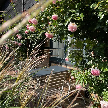 Appartement Drei Hof Himmelgruen *