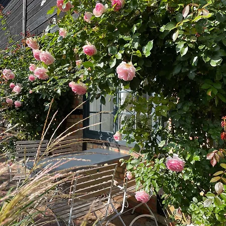 Drei Hof Himmelgruen *