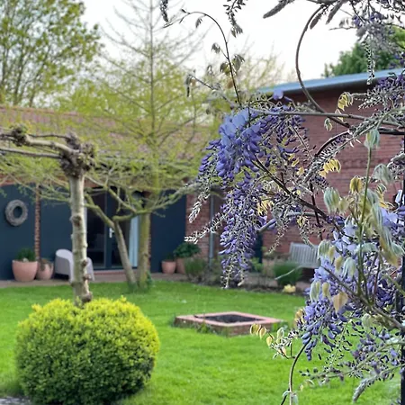 Drei Hof Himmelgruen Appartement