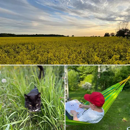 Drei Hof Himmelgruen Appartement *