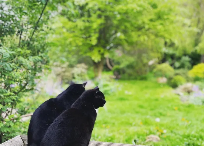 Apartment Drei Hof Himmelgruen